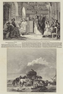 Belle arti